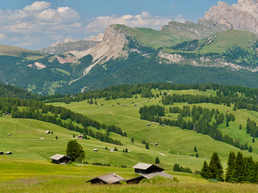 Alpe di Siusi wide meadow summer