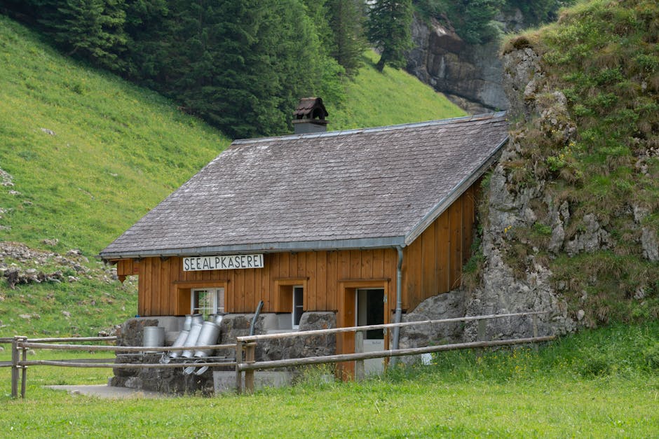 alpine pasture cheese maker wooden hut