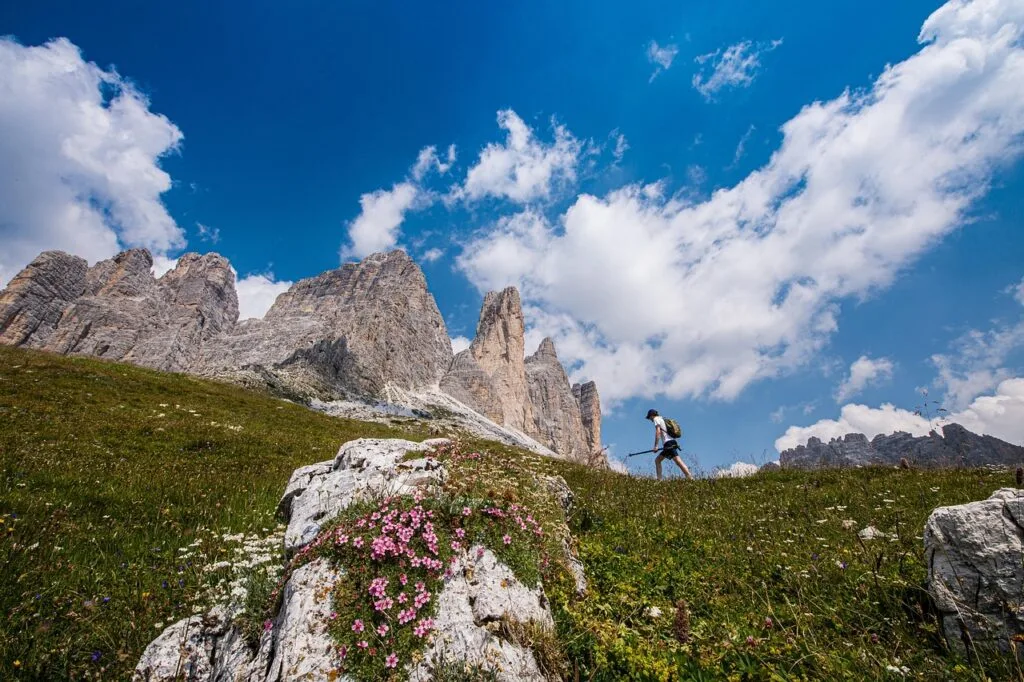 Randonneur sur sentier alpin fleuri, aiguilles rocheuses des Dolomites en arrière
