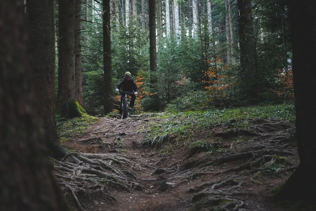 Cycliste descend un sentier raciné à travers une forêt dense des Dolomites