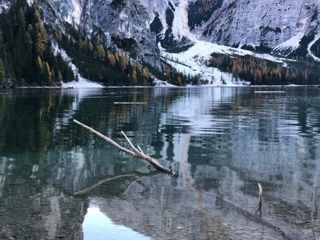 Tronc flottant dans l'eau calme du lac des Dolomites