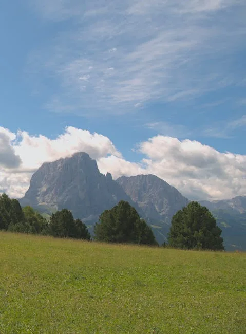 Prairie fleurie au premier plan, massif des Dolomites à l'horizon