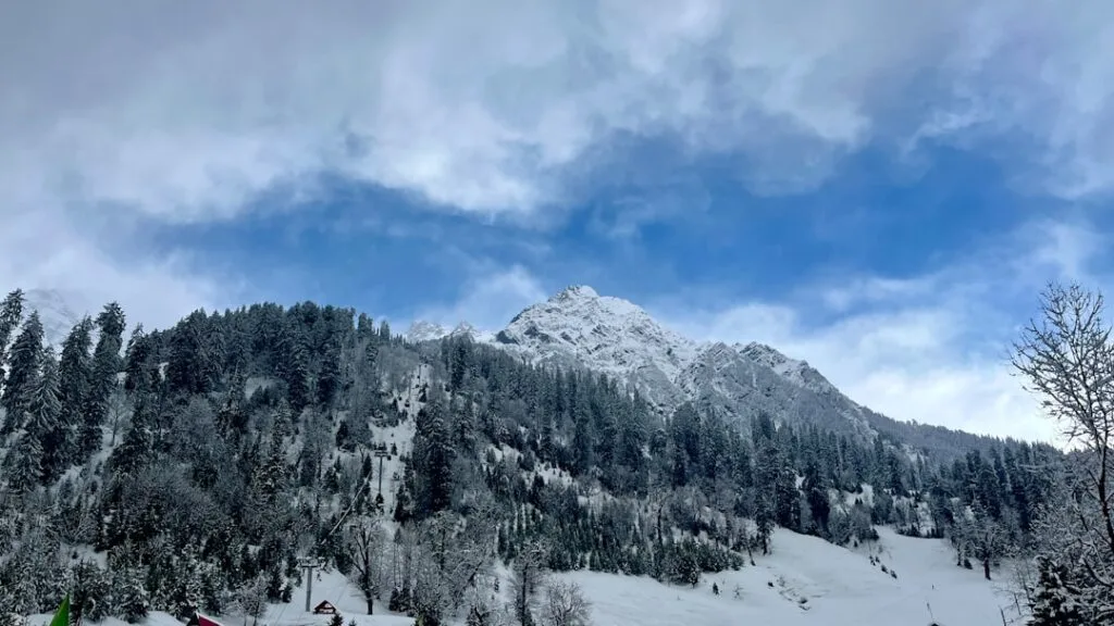 Forêt enneigée et sommet blanc dominant le paysage des Dolomites