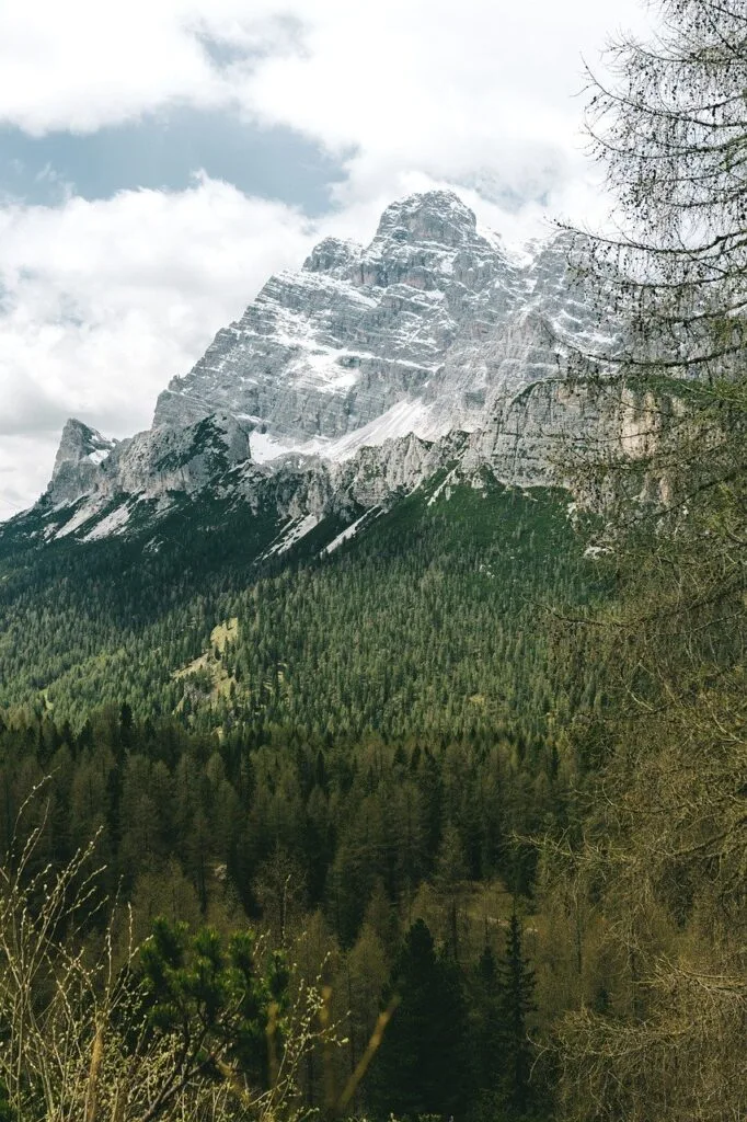 Massif rocheux enneigé dominant une forêt dense dans les Dolomites