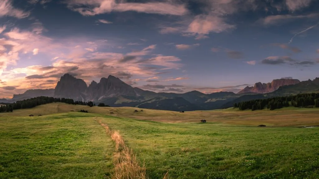 Alpage verdoyant des Dolomites avec sentier menant aux sommets lointains